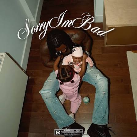 Cover art of SORRY I'M BAD